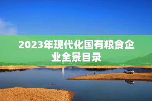 2023年现代化国有粮食企业全景目录