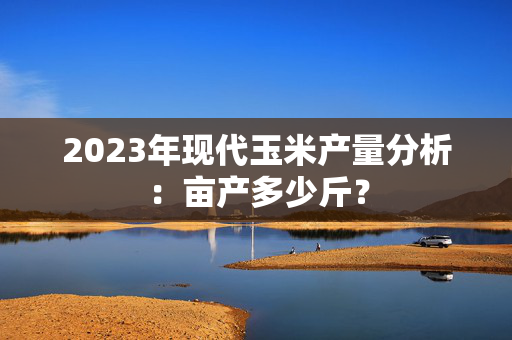 2023年现代玉米产量分析：亩产多少斤？