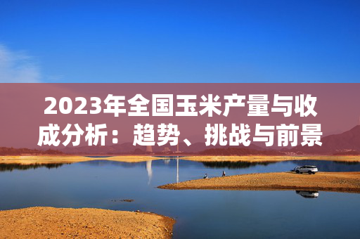 2023年全国玉米产量与收成分析：趋势、挑战与前景