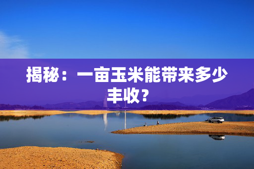 揭秘：一亩玉米能带来多少丰收？