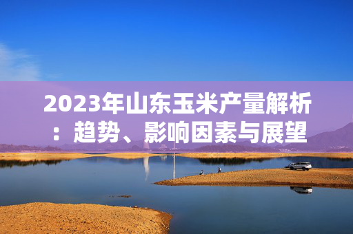 2023年山东玉米产量解析：趋势、影响因素与展望