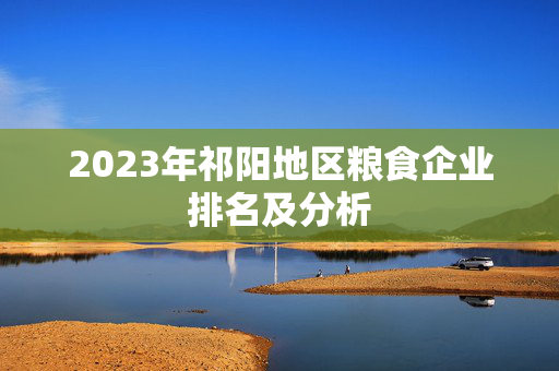 2023年祁阳地区粮食企业排名及分析