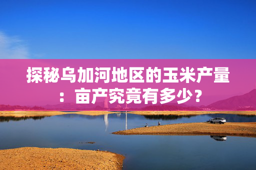 探秘乌加河地区的玉米产量：亩产究竟有多少？