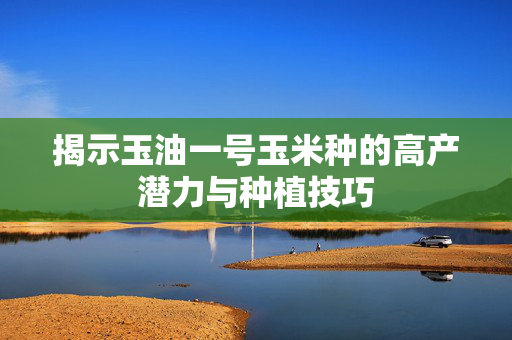 揭示玉油一号玉米种的高产潜力与种植技巧