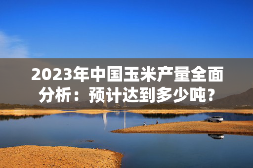 2023年中国玉米产量全面分析：预计达到多少吨？