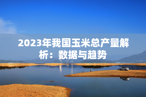 2023年我国玉米总产量解析：数据与趋势