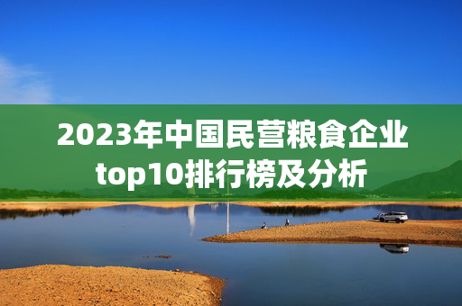 2023年中国民营粮食企业top10排行榜及分析