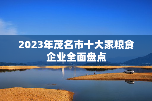 2023年茂名市十大家粮食企业全面盘点