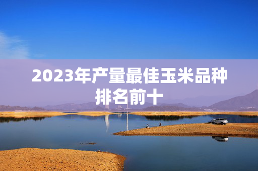 2023年产量最佳玉米品种排名前十