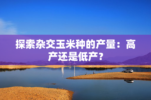 探索杂交玉米种的产量：高产还是低产？