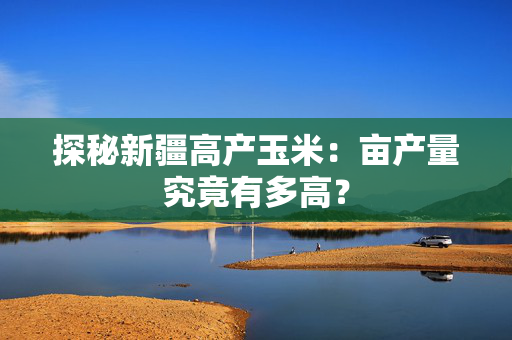 探秘新疆高产玉米：亩产量究竟有多高？