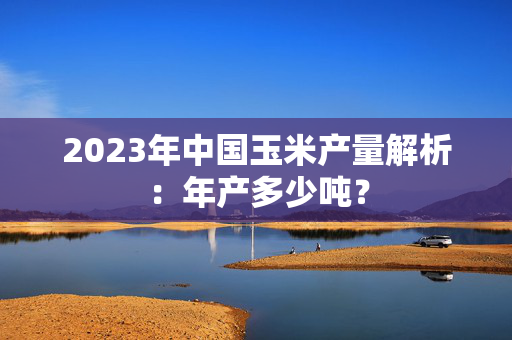 2023年中国玉米产量解析：年产多少吨？