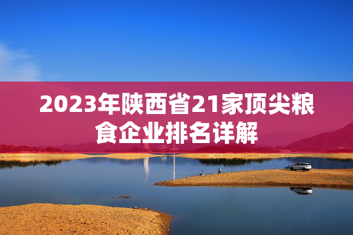 2023年陕西省21家顶尖粮食企业排名详解