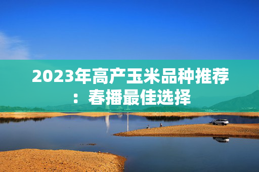 2023年高产玉米品种推荐：春播最佳选择