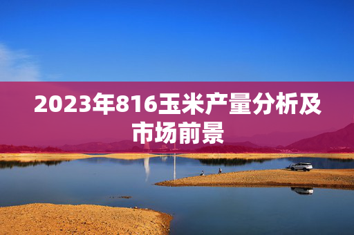 2023年816玉米产量分析及市场前景