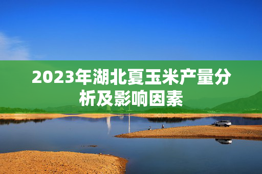 2023年湖北夏玉米产量分析及影响因素