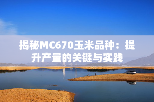 揭秘MC670玉米品种：提升产量的关键与实践