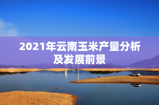 2021年云南玉米产量分析及发展前景