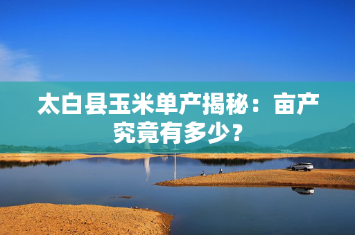 太白县玉米单产揭秘：亩产究竟有多少？