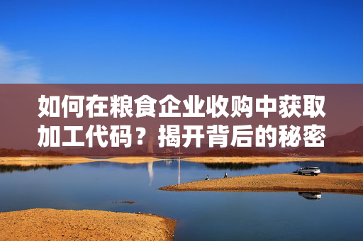 如何在粮食企业收购中获取加工代码？揭开背后的秘密