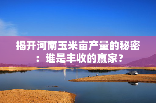 揭开河南玉米亩产量的秘密：谁是丰收的赢家？