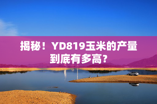 揭秘！YD819玉米的产量到底有多高？