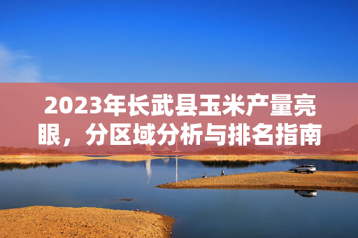 2023年长武县玉米产量亮眼，分区域分析与排名指南