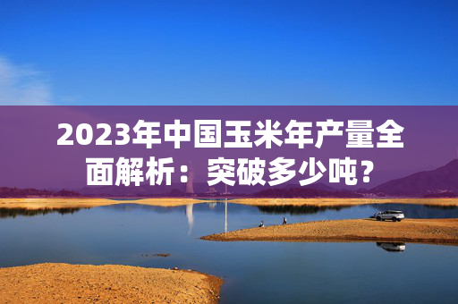 2023年中国玉米年产量全面解析：突破多少吨？