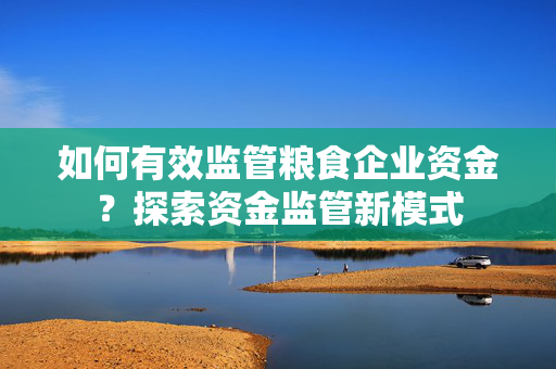 如何有效监管粮食企业资金？探索资金监管新模式