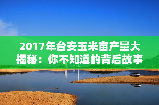 2017年台安玉米亩产量大揭秘：你不知道的背后故事