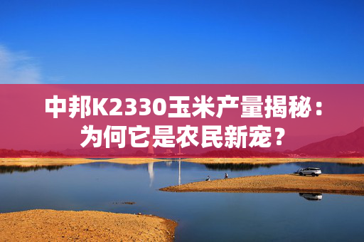 中邦K2330玉米产量揭秘：为何它是农民新宠？