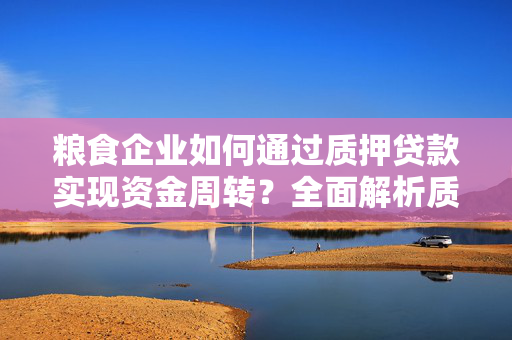 粮食企业如何通过质押贷款实现资金周转？全面解析质押贷款的优势与风险