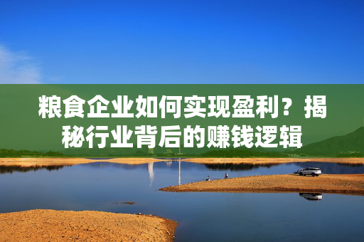 粮食企业如何实现盈利？揭秘行业背后的赚钱逻辑