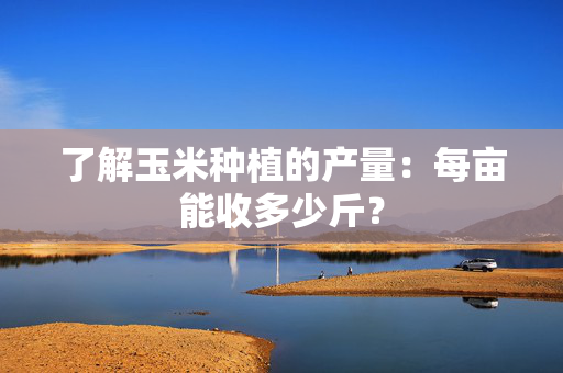 了解玉米种植的产量：每亩能收多少斤？