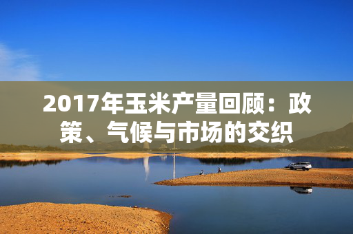 2017年玉米产量回顾：政策、气候与市场的交织