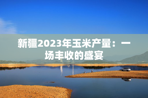 新疆2023年玉米产量：一场丰收的盛宴