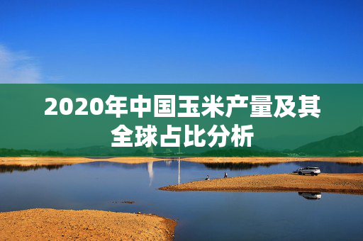 2020年中国玉米产量及其全球占比分析