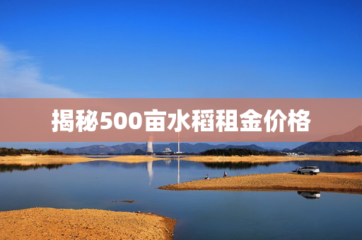 揭秘500亩水稻租金价格