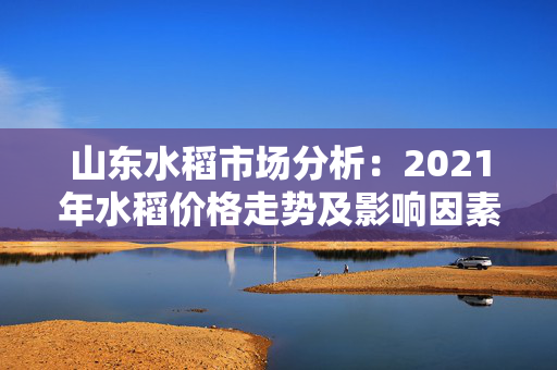 山东水稻市场分析：2021年水稻价格走势及影响因素解析