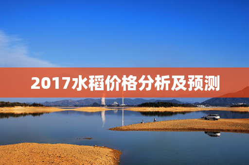 2017水稻价格分析及预测