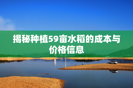 揭秘种植59亩水稻的成本与价格信息