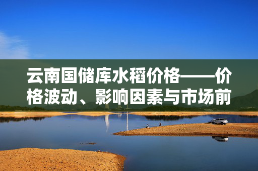 云南国储库水稻价格——价格波动、影响因素与市场前景