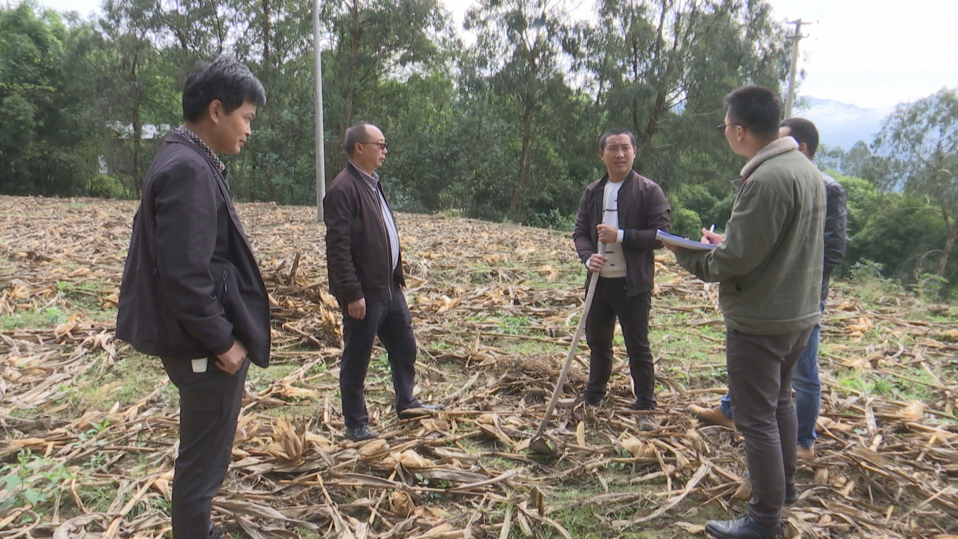 重庆奉节国有粮食企业(重庆奉节国有粮食企业有哪些)