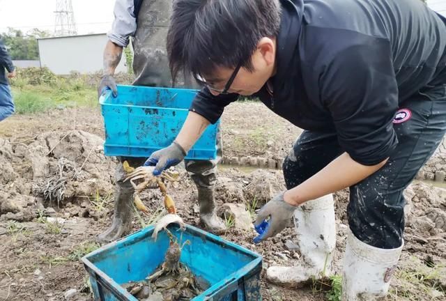 嘴里养水稻(嘴巴里种水稻什么意思)