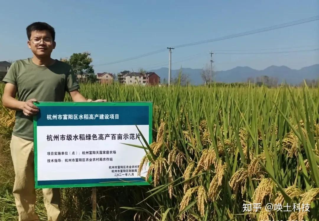 水稻土壤生态指标检测(水稻生长土壤ph值要求)