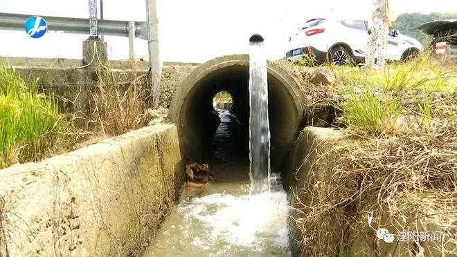 水稻土壤生态指标检测(水稻生长土壤ph值要求)