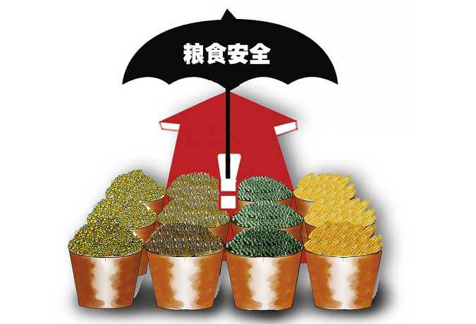 粮食企业执行政策情况(粮食企业的政策性业务有哪些)