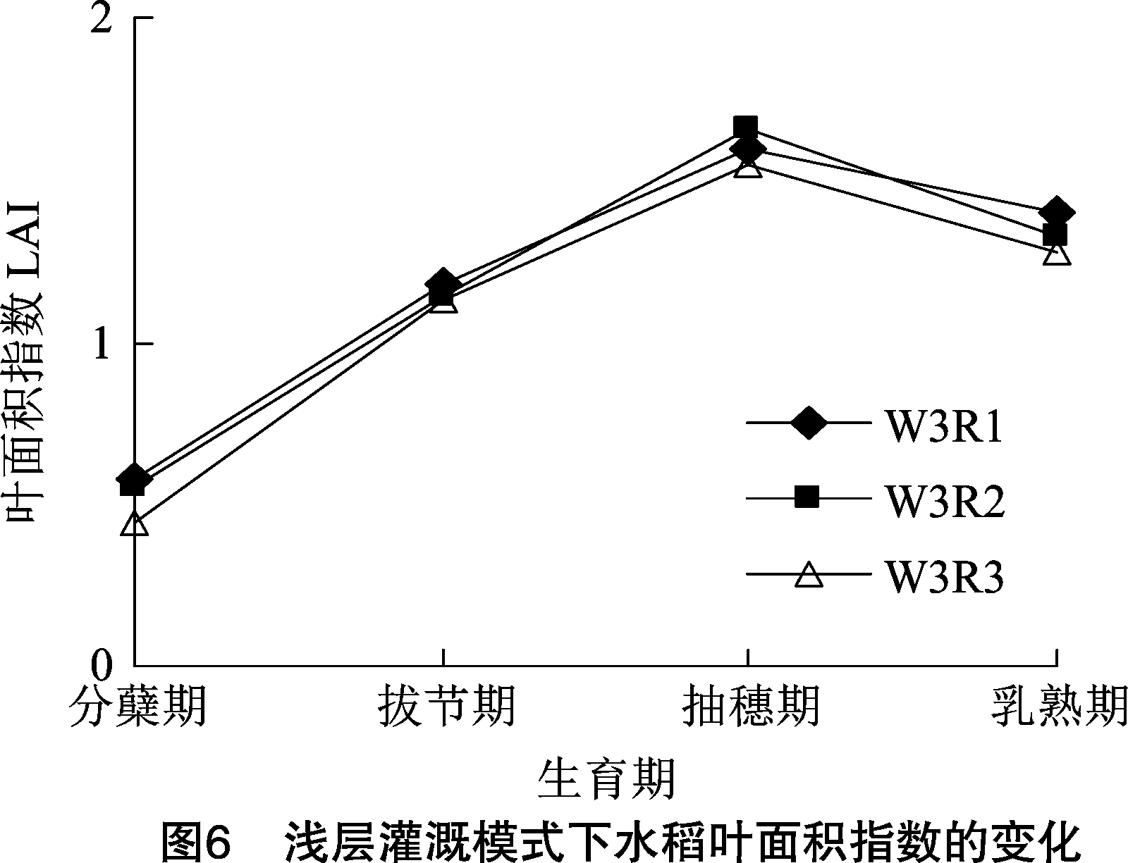 关于水稻生长规律的题(关于水稻生长规律的题目有哪些)