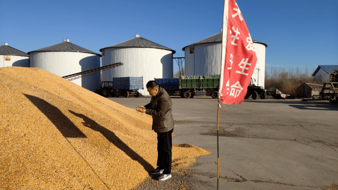 粮食企业改革的困难问题(粮食企业改革的困难问题和建议)