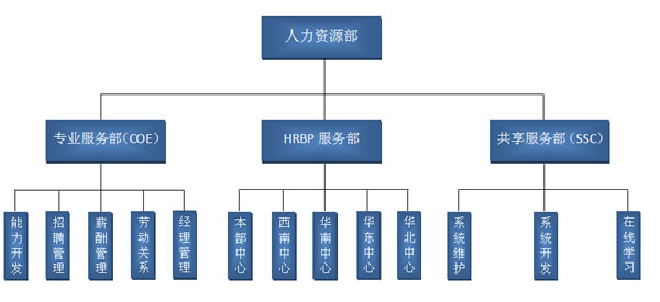 国有粮食企业人力资源配置(国有粮食企业发展和执行国家有关政策情况)